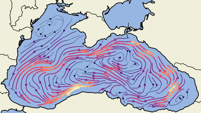 Flow field learned by T-FEN
